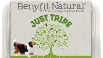 Pet Business Benyfit