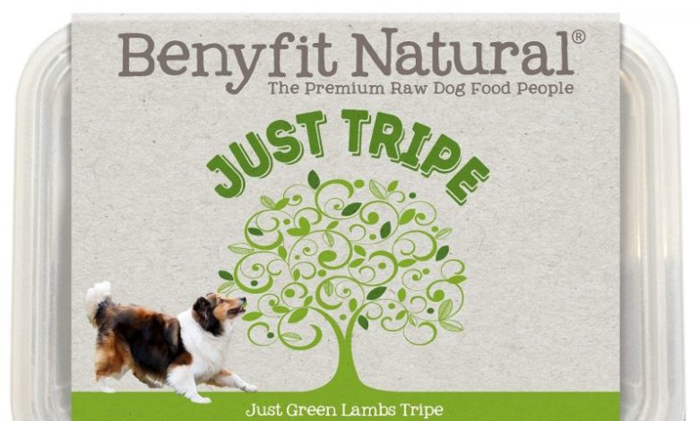 Pet Business Benyfit