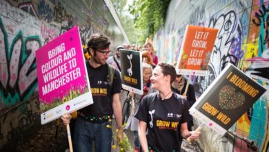 Wild flower campaign brings communities together