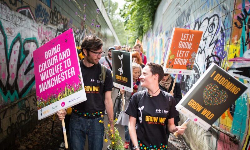 Wild flower campaign brings communities together