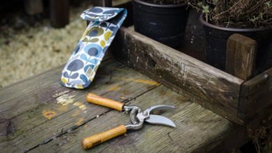Rise in consumer gardening expected