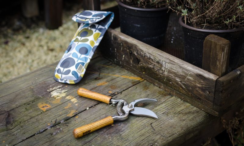 Rise in consumer gardening expected