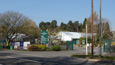 Fire crews rescue a man trapped at a garden centre