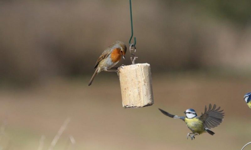 Unipet achieves A grade accreditation