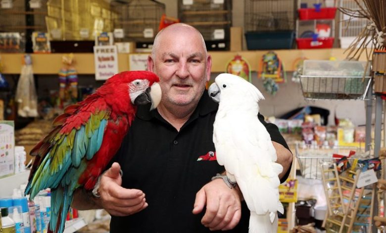 Pet Trade Parrots