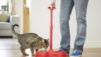 No Bend pet bowl trials with major retailer