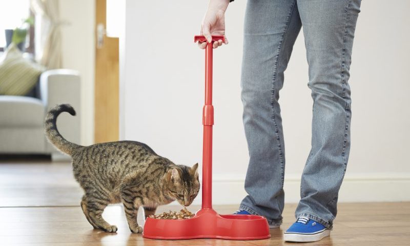 No Bend pet bowl trials with major retailer