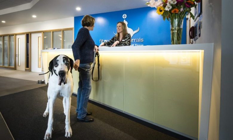 Pet Store Vet