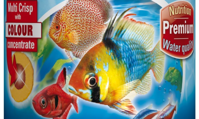 Tetra celebrates 65 years