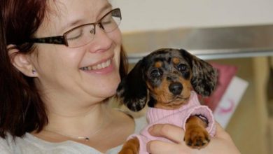 Pet companies to be celebrated on Small Business Saturday