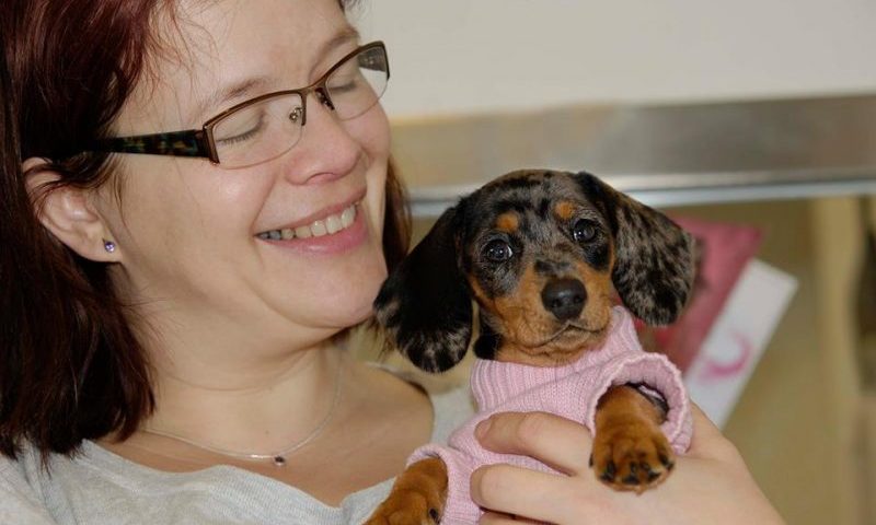 Pet companies to be celebrated on Small Business Saturday