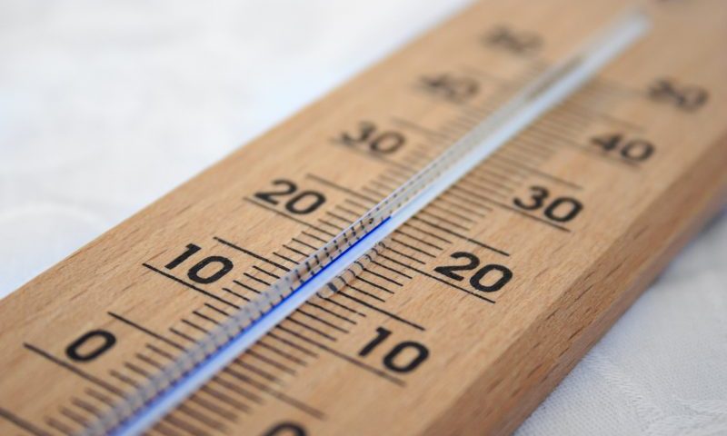 Dogs die after ‘warnings ignored’ at pet fair