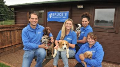Dog crèche business recognised for national award