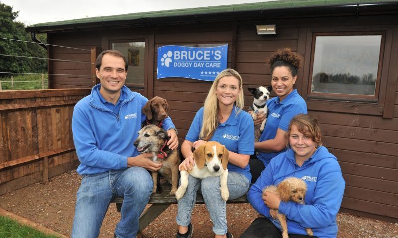 Dog crèche business recognised for national award