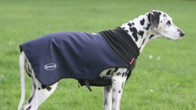 PATS 2016 Dog Jacket