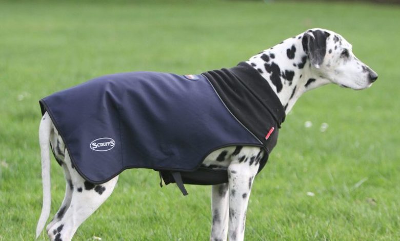 PATS 2016 Dog Jacket