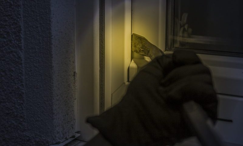 Pet grooming business targeted by thieves