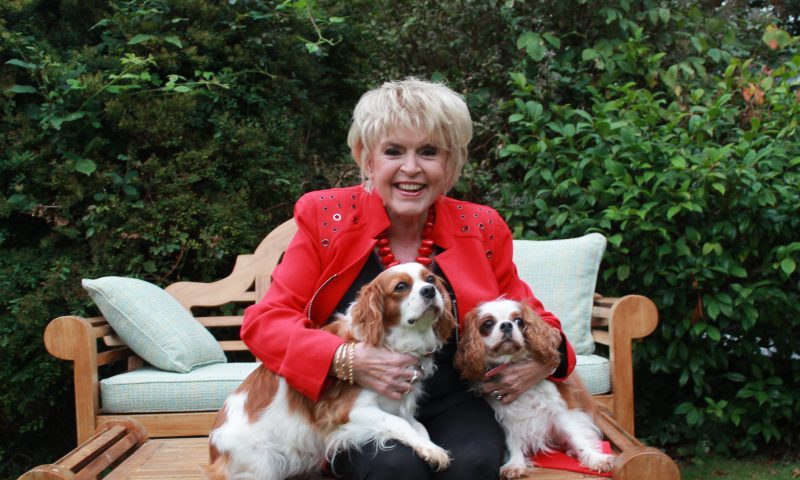 Breakthrough drug could delay a leading cause of death in dogs