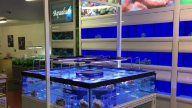 Customers flock to new aquatic store