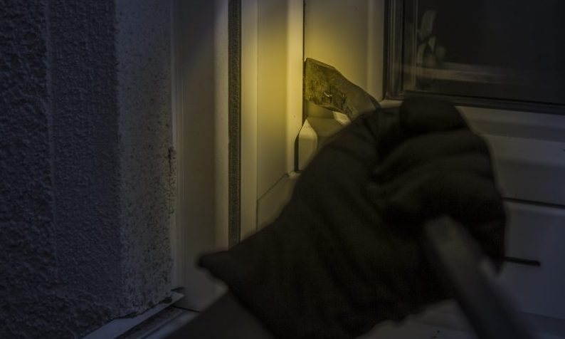 Pet shop robbed of over £150