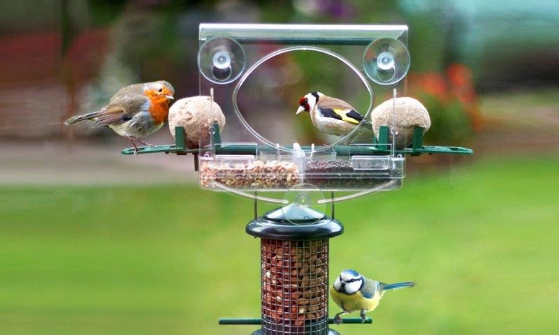 Rising Demand For Window Bird Feeders Says Meripac Post