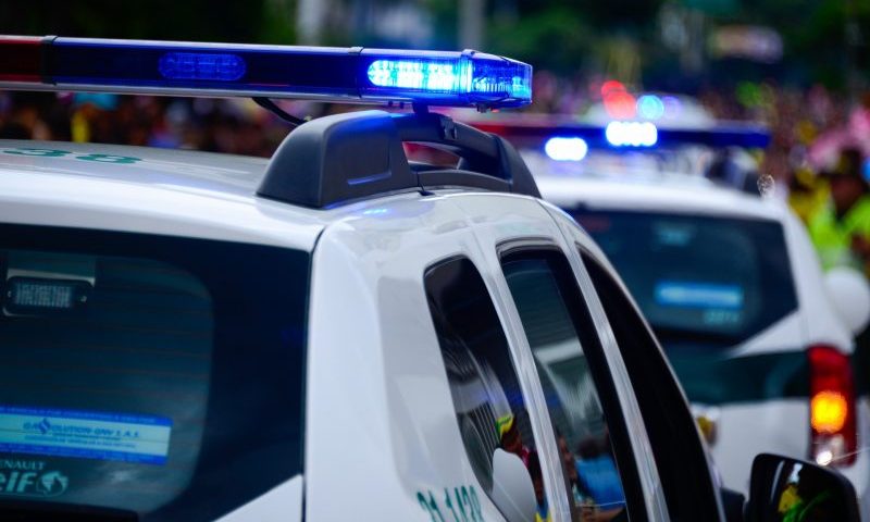 Pet shop owner terrorised by teens