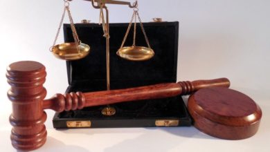 Raw food company fined for out-of-date pet food