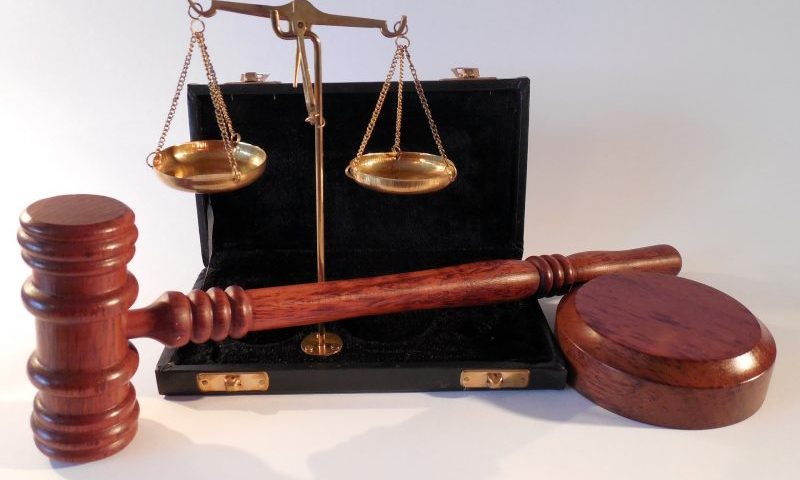 Raw food company fined for out-of-date pet food