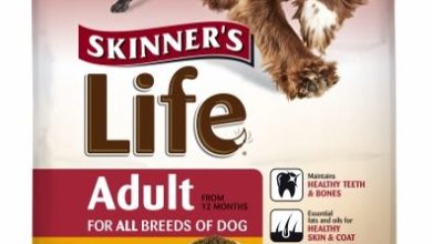 Skinner's