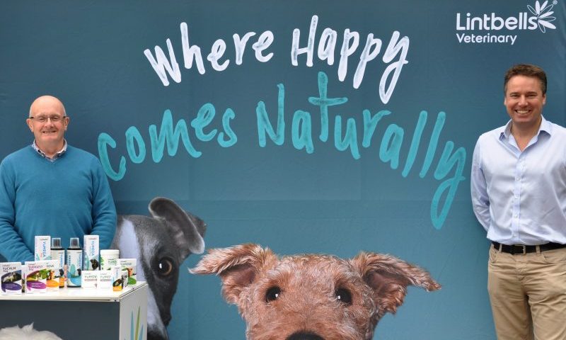 Lintbells joins the Sunday Times Virgin Fast Track 100