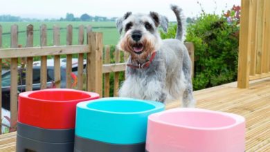 PetWeighter™ has been tickled pink