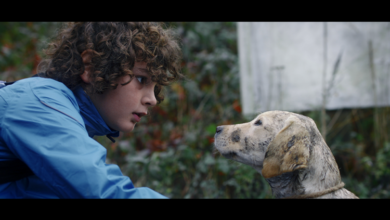 HOWND launches film to raise rescue dog awareness