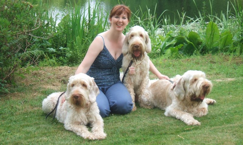 Dogmatic wins award for the fourth time