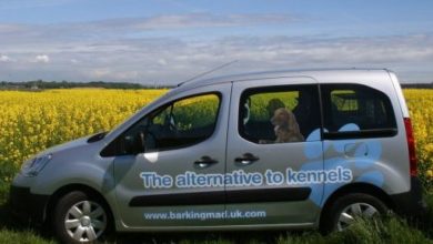 Dog-sitters named Micro Business of the Year