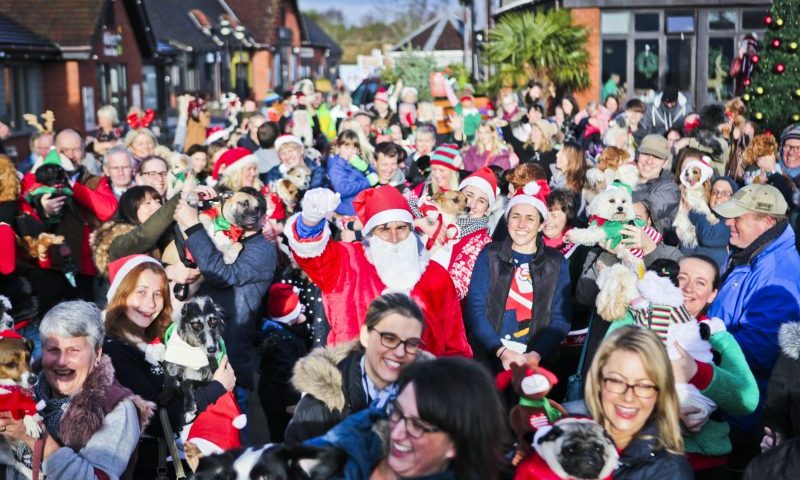 Dog lovers take part in Christmas parade