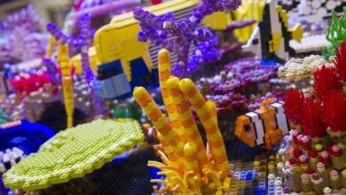AQUA 2017 set to be a busy show