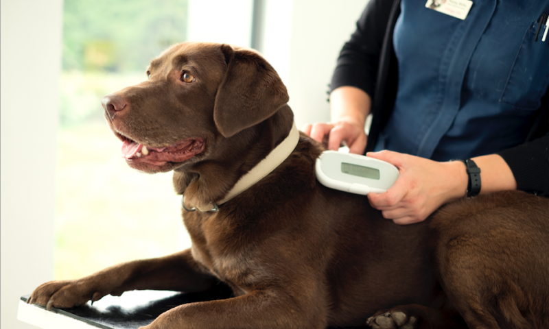 SureFlap® launches new microchip reader