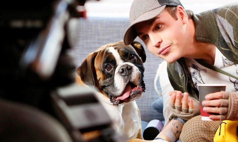 Viral video doubles treat sales