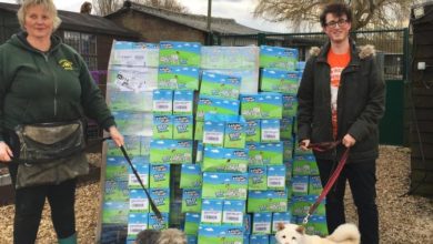 75,000 meals donated to animal charities