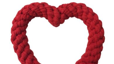 Valentine’s Day dog chew launched