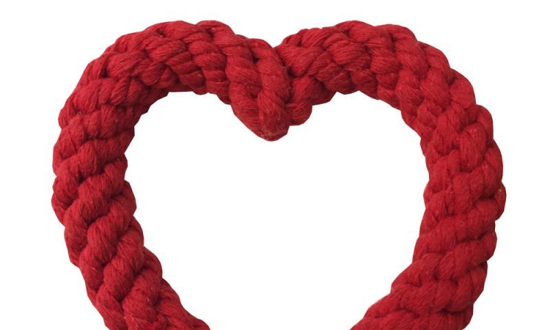 Valentine’s Day dog chew launched