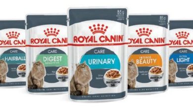 Royal Canin