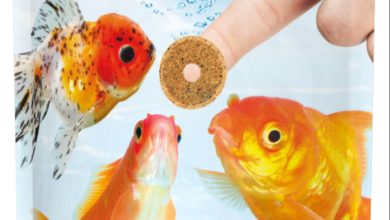 New goldfish expansion from Tetra