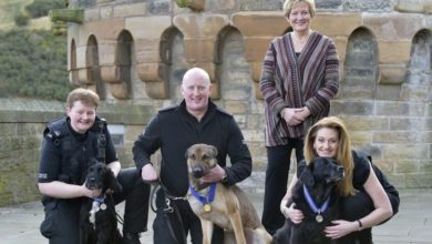 Vet charity honours heroic and devoted dogs