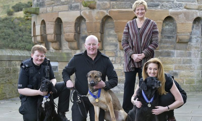 Vet charity honours heroic and devoted dogs