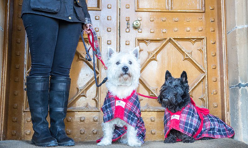 Official brand tartan fabric unveiled by pet company