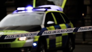 Unlicensed pet shop owner found guilty