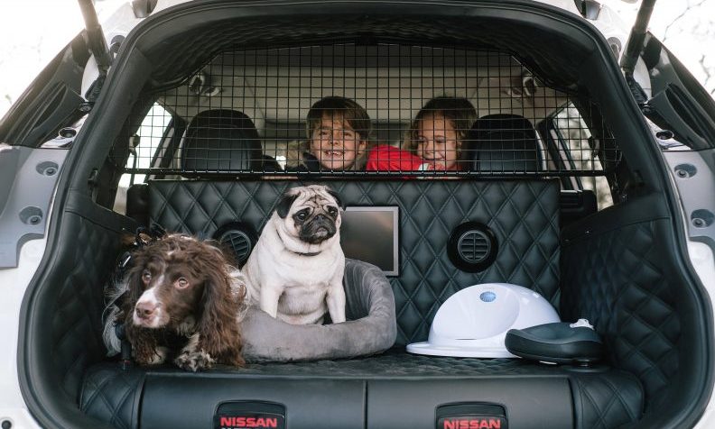 Nissan launches new dog friendly car