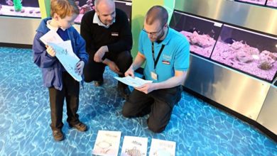 Five-year-old helps hunt stolen fish