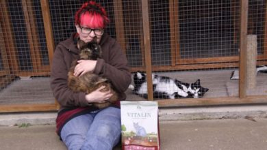 Vitalin donates supplies to Scunthorpe Cat Rescue